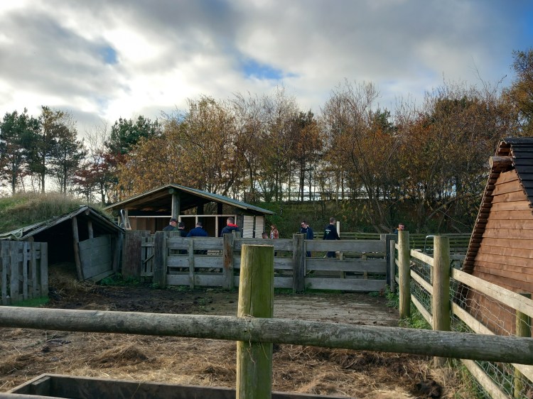 Photo of an animal paddock at Jarrow Hall 