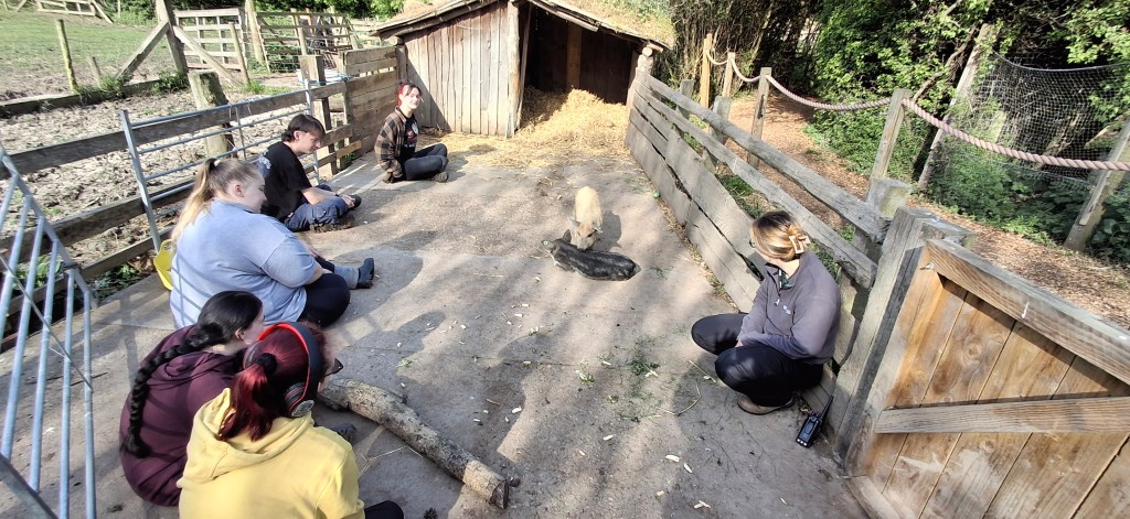 Animal care learners are introduced to the new piglets at Jarrow Hall Farm by Harley, our animal care tutor.